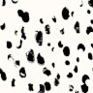 Meet your Posher, Octavia